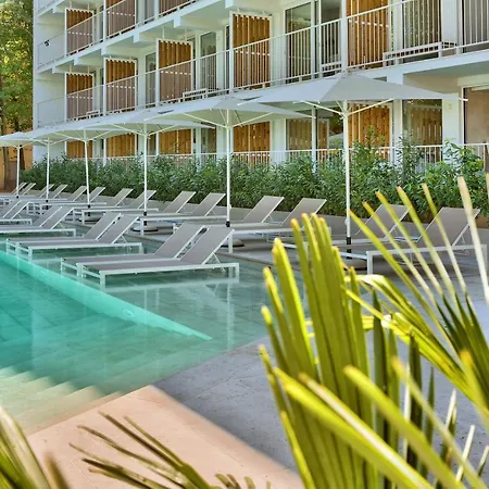 Ibis Styles Roomer 4* Złote Piaski