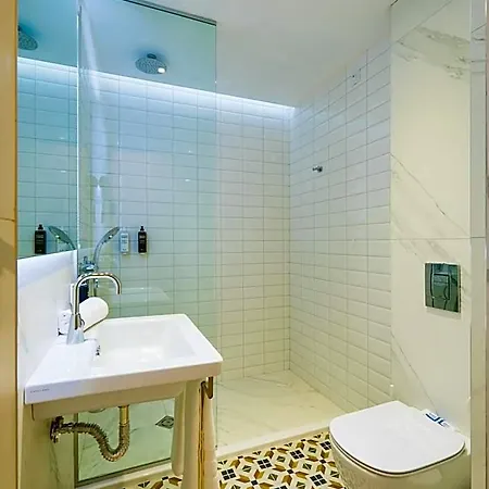 Ibis Styles Roomer Hotel 4*